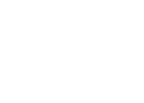 europe icon