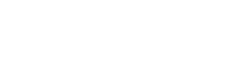 active international logo white